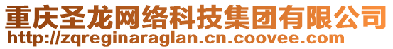 重慶圣龍網(wǎng)絡(luò)科技集團(tuán)有限公司