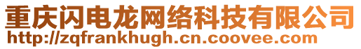 重慶閃電龍網絡科技有限公司