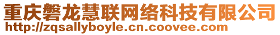 重慶磐龍慧聯網絡科技有限公司