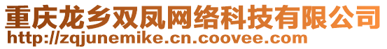 重慶龍鄉(xiāng)雙鳳網(wǎng)絡(luò)科技有限公司
