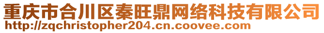 重慶市合川區(qū)秦旺鼎網(wǎng)絡(luò)科技有限公司