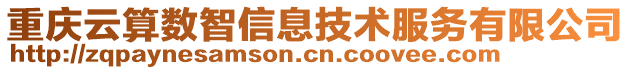 重慶云算數智信息技術服務有限公司