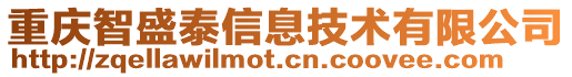 重慶智盛泰信息技術(shù)有限公司