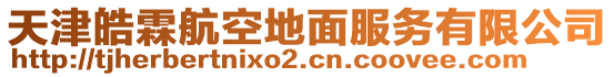 天津皓霖航空地面服務(wù)有限公司