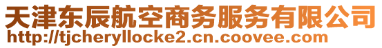 天津東辰航空商務(wù)服務(wù)有限公司