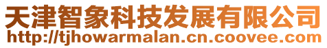 天津智象科技發展有限公司