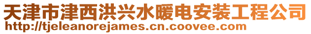 天津市津西洪興水暖電安裝工程公司