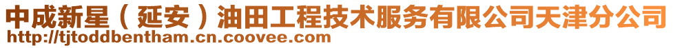 中成新星（延安）油田工程技術服務有限公司天津分公司