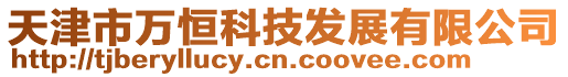 天津市萬恒科技發展有限公司