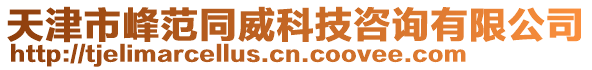 天津市峰范同威科技咨詢有限公司