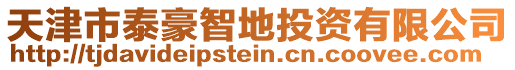 天津市泰豪智地投資有限公司