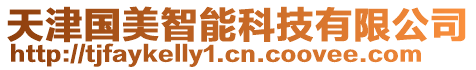 天津國美智能科技有限公司
