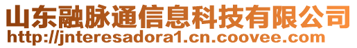 山東融脈通信息科技有限公司