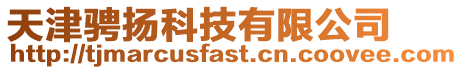 天津騁揚(yáng)科技有限公司