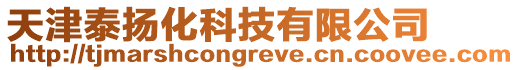 天津泰揚化科技有限公司