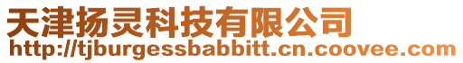 天津揚靈科技有限公司