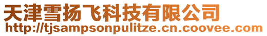 天津雪揚飛科技有限公司