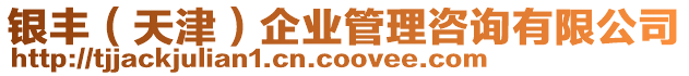銀豐(天津)企業(yè)管理咨詢有限公司