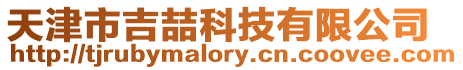 天津市吉喆科技有限公司