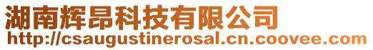 湖南輝昂科技有限公司