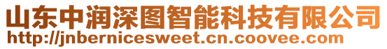 山東中潤深圖智能科技有限公司