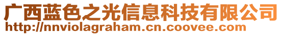 廣西藍色之光信息科技有限公司