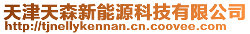 天津天森新能源科技有限公司