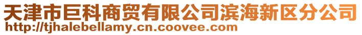 天津市巨科商貿(mào)有限公司濱海新區(qū)分公司