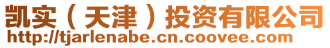 凱實(天津)投資有限公司