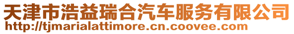 天津市浩益瑞合汽車服務有限公司