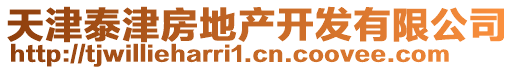 天津泰津房地產(chǎn)開發(fā)有限公司