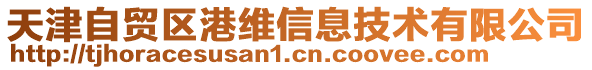 天津自貿(mào)區(qū)港維信息技術有限公司