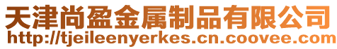 天津尚盈金屬制品有限公司
