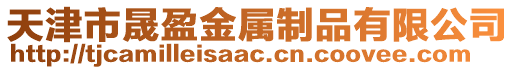 天津市晟盈金屬制品有限公司