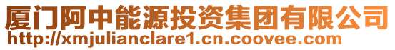 廈門阿中能源投資集團有限公司