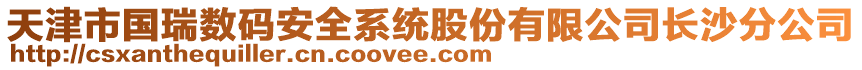 天津市國(guó)瑞數(shù)碼安全系統(tǒng)股份有限公司長(zhǎng)沙分公司