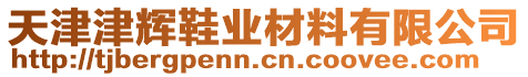 天津津輝鞋業(yè)材料有限公司