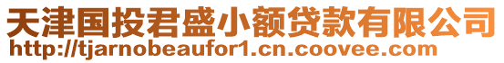 天津國(guó)投君盛小額貸款有限公司