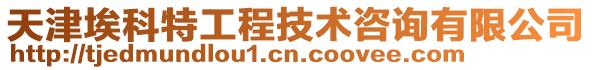 天津埃科特工程技術(shù)咨詢有限公司