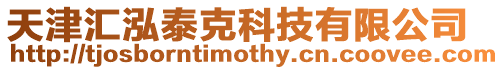 天津匯泓泰克科技有限公司