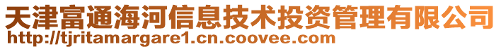 天津富通海河信息技術投資管理有限公司
