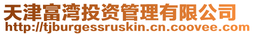 天津富灣投資管理有限公司
