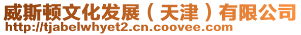 威斯頓文化發(fā)展(天津)有限公司