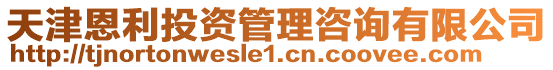 天津恩利投資管理咨詢有限公司
