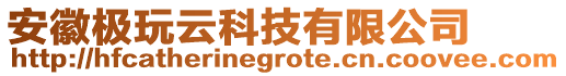 安徽極玩云科技有限公司