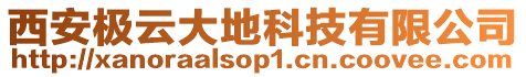 西安極云大地科技有限公司