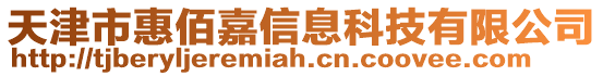 天津市惠佰嘉信息科技有限公司