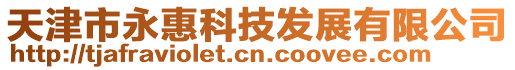 天津市永惠科技發(fā)展有限公司