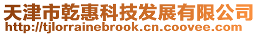 天津市乾惠科技發展有限公司