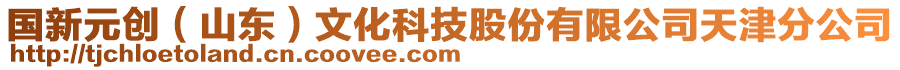 國新元?jiǎng)?chuàng)（山東）文化科技股份有限公司天津分公司